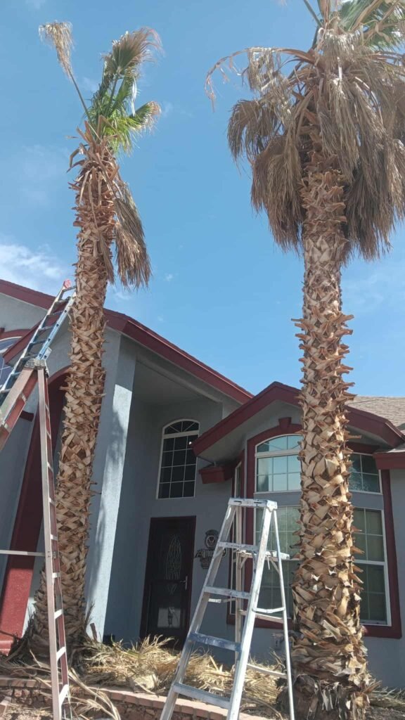 Two story home exterior painted, framed by palm trees